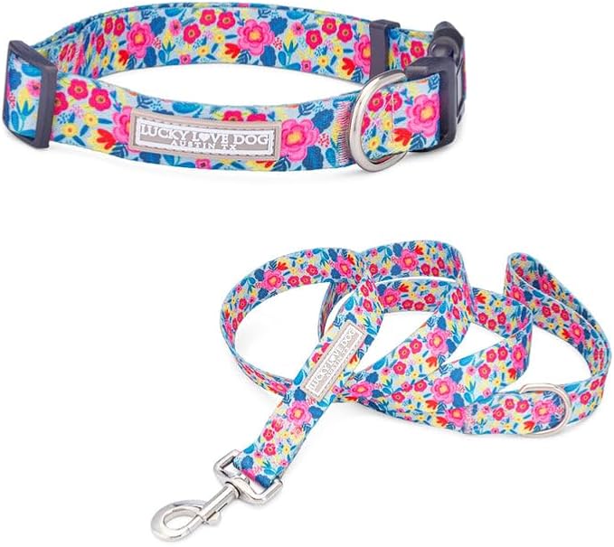 Lucky Love Dog - Adjustable Dog Collar and Leash Set with Easy Click Buckle for Small to Large Dogs, Durable, & Comfortable Collar for Male & Female Dogs, Puppies & Adult Ones- Valentina Combo, XS