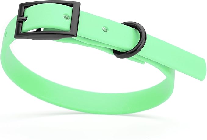 Dogline Biothane Coated Webbing Dog Collar with Black Metal Hardware: Durable Easy-Clean Everyday Collar for Dogs - Comfortable Adjustable Odor-Resistant Pet Collar, W1/2" x L9-12, Sea Foam Green