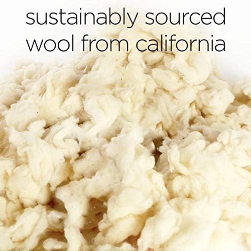 Molly Mutt Sheepy Wool Crate Pad, 100% Cotton Canvas Cover with Soft, Supportive, & Temperature-Regulating 100% Natural Wool-Filled Insert Dog Bed, Crate Mat, Forever Young, 30" x 21" x 2.5"