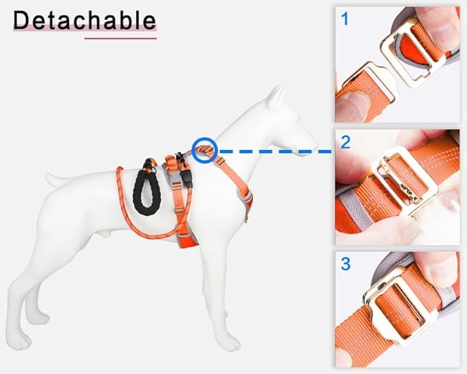 Adjustable Dog Harness - No Pull, Reflective, Soft Padded for Small, Medium, Large Dogs - Includes Leash Orange XL