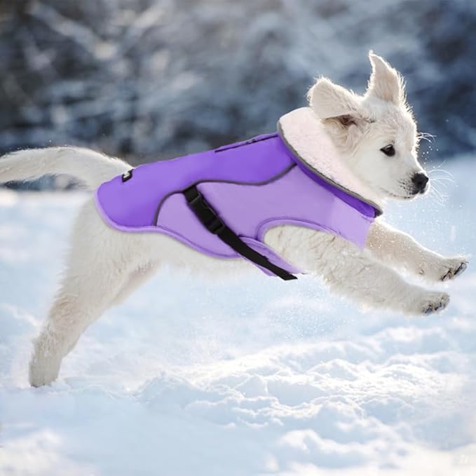 EMUST Dog Winter Coat, Thick Windproof Jacket, Purple, XXL