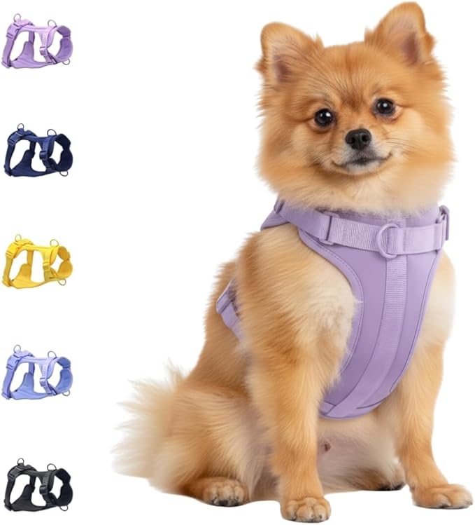 Dog Harness, No-Pull Pet Harness with 3 Leash Clips, Adjustable Soft Padded Dog Vest, Breathable Mesh Cushion for Small Medium Large Dogs (Purple, Small (Neck:12"-16" Chest 16"-20"))