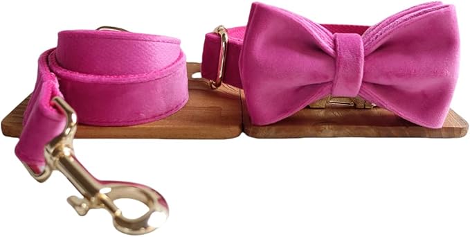 Custom Engraved Dog Collar with Name and Phone Number, Personalized for Small, Medium, and Large Dogs (Velvet)
