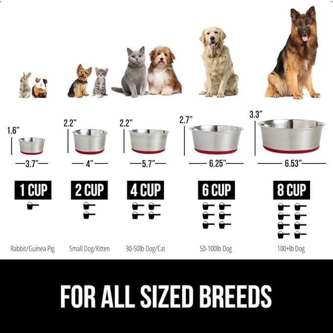 GORILLA GRIP Dog Bowl, Holds 2 Cups (16 fl oz), Heavy Duty Metal Food and Water Bowl for Feeding Dogs and Cats, Easy Clean, Dishwasher Safe, Rust Resistant Stainless Steel, BPA Free Rubber Base, Red