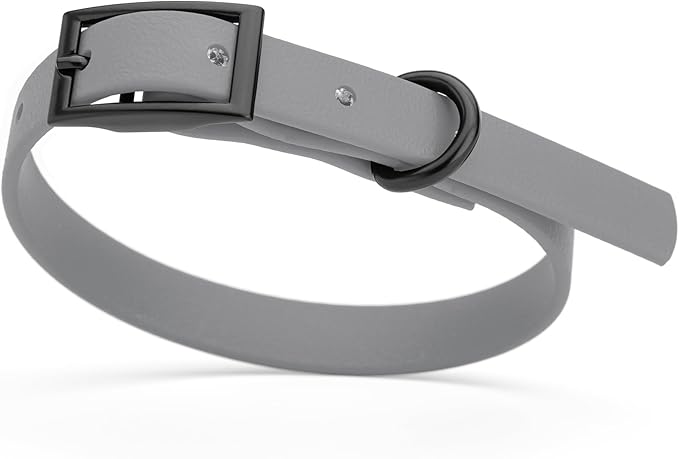 Dogline Biothane Coated Webbing Dog Collar with Black Metal Hardware: Durable Easy-Clean Everyday Collar for Dogs - Comfortable Adjustable Odor-Resistant Pet Collar, W1/2" x L9-12, Battleship Gray