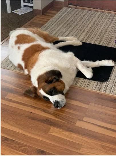 Redemption Shield® Kids or Pets Grounding Earthing Mat | Comfortable Earthing Mat for Better Sleep & Calm | 26x35in Grounding Mat for Kids & Pets | Reduces Inflammation & Promotes Restful Sleep
