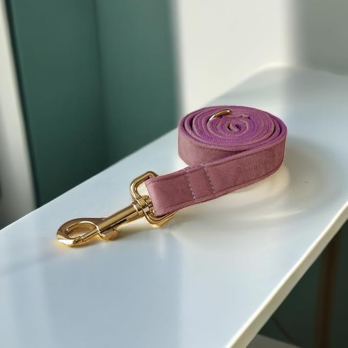 Love Dream Velvet Dog Collar and Leash Set, Soft & Comfy Adjustable Dog Leash and Collar with Heavy Duty Metal Buckle for Small Medium Large Dogs Training & Walking (Small, Light Purple)