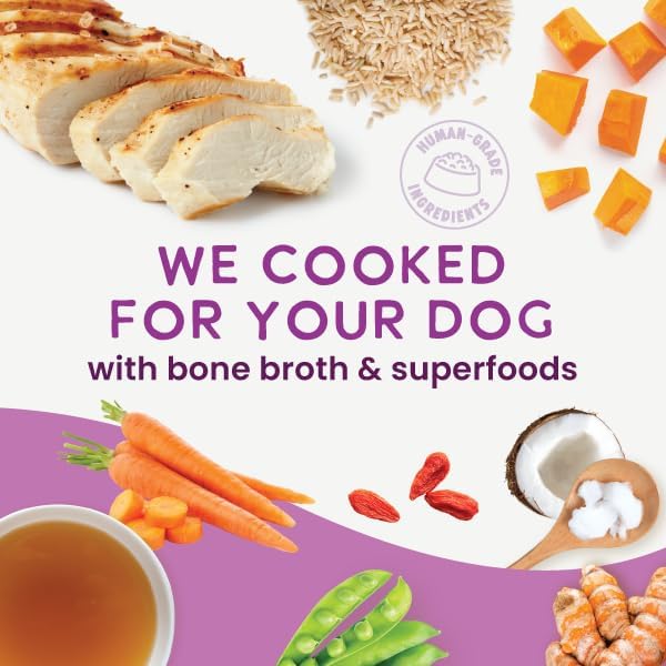 Health Extension Gently Cooked Chicken & Pumpkin Dog Food, Human-Grade & Shelf-Stable with Superfoods, Supports Digestion, Immunity, Skin & Coat, 3 oz Pouch (Pack of 10)