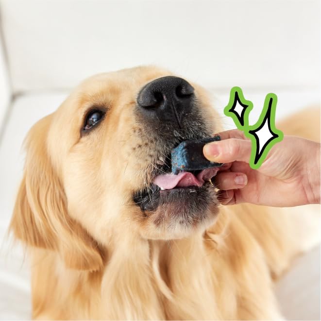 Spot & Tango PupGum Dog Dental Chews for Fresh Breath & Clean Teeth – Clinically Proven Plaque Control – Human-Grade, Vet-Developed Daily Dental Treats for Dogs 41+lbs – 7 Chews – Made in USA
