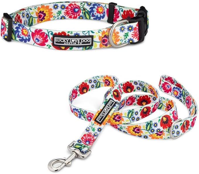 Lucky Love Dog - Easy Click Buckle Dog Collar with Leash Set Combo, Durable & Comfortable for Male & Female Dogs, Pet Collar for Small to Large Dogs, Secure Fit - Ladybird Combo, Medium