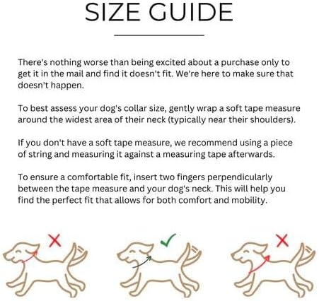 Two Tails Pet Company Cactus Vegan Leather Dog Collar, Adjustable Pet Collar with Gold Hardware and D Rings for Leash and ID Tag for Dogs and Puppies, Easy to Clean & Eco Friendly, Green, Size Large