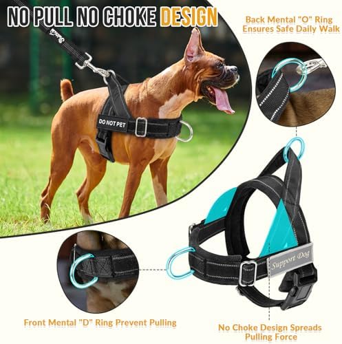 SlowTon No Pull Dog Harness - Heavy Duty Dog Harness and Leash Set for Medium Large Dogs, Reflective Tactical Harness with Soft Padded and Front Clip for Easy Walk and Training (Black M)