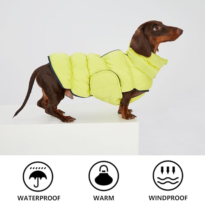Dog Winter Puffer Jacket, Warm Padded Sleeveless Coat for Small Medium Dogs, Waterproof Winter Jacket, Turtleneck Cold Weather Dogs Jacket (Size 4(chest19-22'', 17-22 lbs))