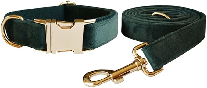 Love Dream Velvet Dog Collar and Leash Set, Soft & Comfy Adjustable Dog Leash and Collar with Heavy Duty Metal Buckle for Small Medium Large Dogs Training & Walking (Small, Green)