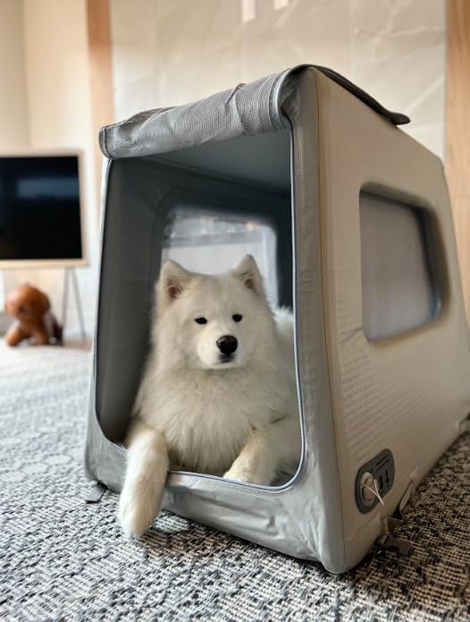 Diggs Enventur Small Inflatable Travel Dog Crate – Ultra-Light & Portable Dog Crate – Puncture-Resistant, Waterproof, Compact – Safe, Durable for Adventures & Travel - 27" L x 18" W x 20" H (Grey)