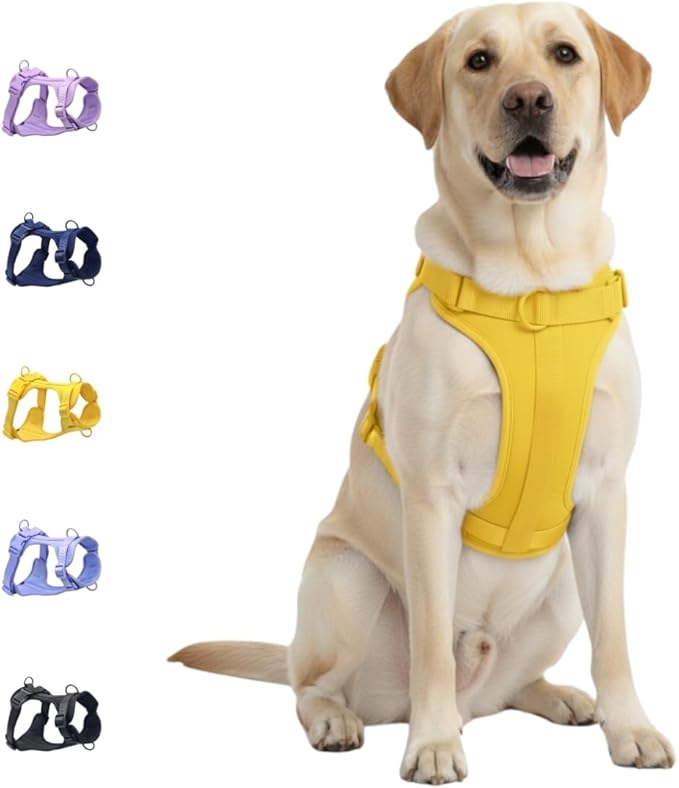 Dog Harness, No-Pull Pet Harness with 3 Leash Clips, Adjustable Soft Padded Dog Vest, Breathable Mesh Cushion for Small Medium Large Dogs (Yellow, Large (Neck:20"-25" Chest 28"-41"))