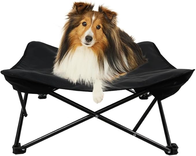 Two Heights in One, Dog Bed Cot for Pet, Waterproof Mesh, Adjustable Height, Indoor/Outdoor (Black, Medium)