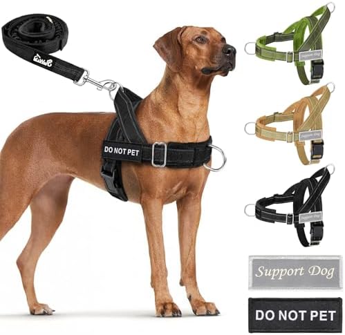 SlowTon No Pull Dog Harness - Heavy Duty Dog Harness and Leash Set for Medium Large Dogs, Reflective Tactical Harness with Soft Padded and Front Clip for Easy Walk and Training (Black M)