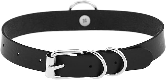 Faux Leather Dog Collar and Leash Set, Strong Detachable Leash Chain with Collar Unique Play Gift for Medium & Large Pet