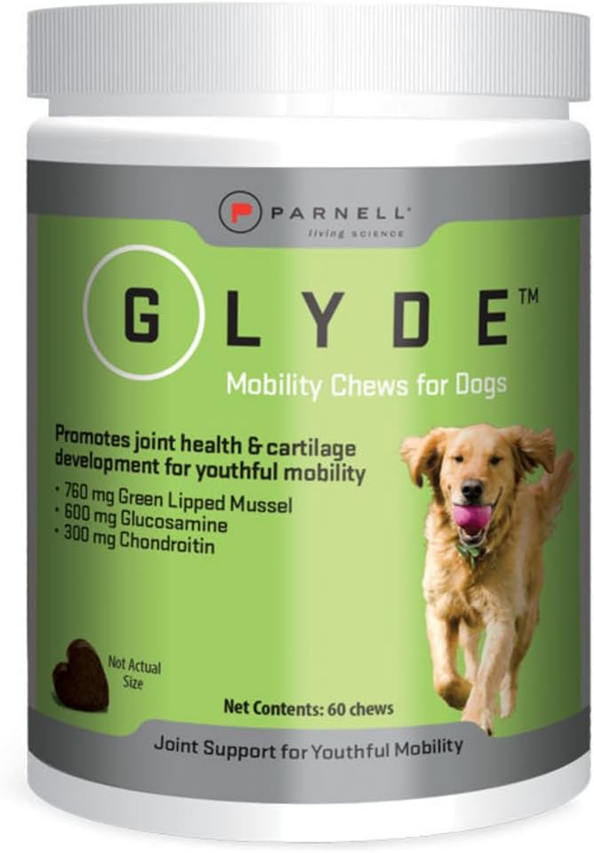 Glyde Mobility Chews for Dogs – Hip & Joint Supplement with Glucosamine, Chondroitin & Green-Lipped Mussel – Supports Arthritis Relief, Flexibility & Mobility – 60 Soft Chews