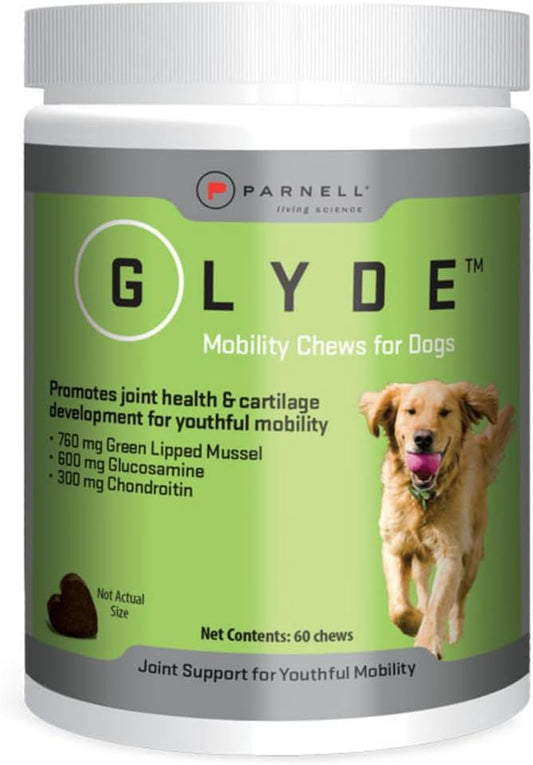 Glyde Mobility Chews for Dogs – Hip & Joint Supplement with Glucosamine, Chondroitin & Green-Lipped Mussel – Supports Arthritis Relief, Flexibility & Mobility – 60 Soft Chews
