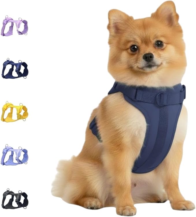Dog Harness, No-Pull Pet Harness with 3 Leash Clips, Adjustable Soft Padded Dog Vest, Breathable Mesh Cushion for Small Medium Large Dogs (Blue, Small (Neck:12"-16" Chest 16"-20"))