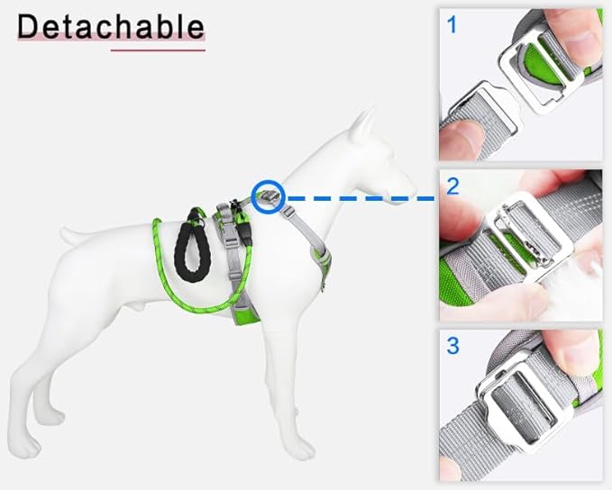 Adjustable Dog Harness - No Pull, Reflective, Soft Padded for Small, Medium, Large Dogs - Includes Leash Green XL