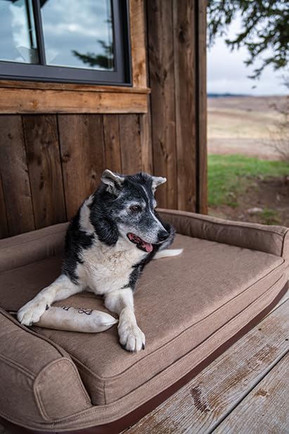 King Buck Nilo Lodge Orthopedic Dog Bed, Olive, S