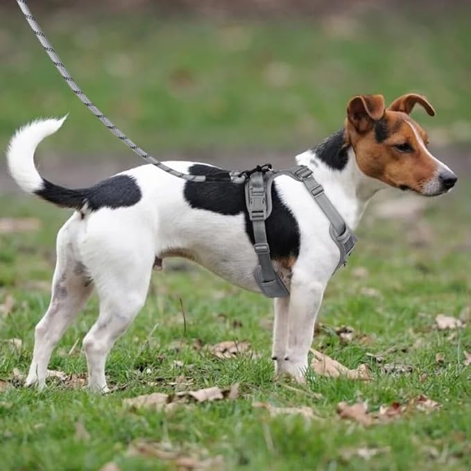 Adjustable Dog Harness - No Pull, Reflective, Soft Padded for Small, Medium, Large Dogs - Includes Leash Light Silver L