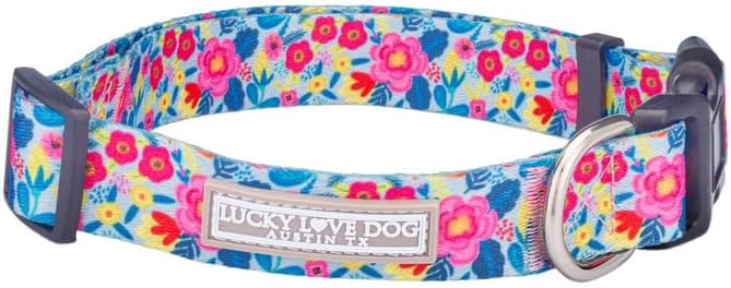 Lucky Love Dog - Adjustable Dog Collar with Easy Click Buckle for Small to Large Ones, Durable, & Comfortable for Male & Female Dogs, Pet Collar for Puppies & Adult Dogs - Valentina, Large