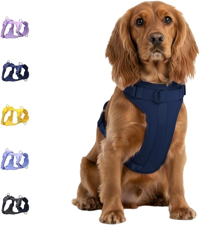 Dog Harness, No-Pull Pet Harness with 3 Leash Clips, Adjustable Soft Padded Dog Vest, Breathable Mesh Cushion for Small Medium Large Dogs (Blue, Medium (Neck:15"-19" Chest 22"-30"))
