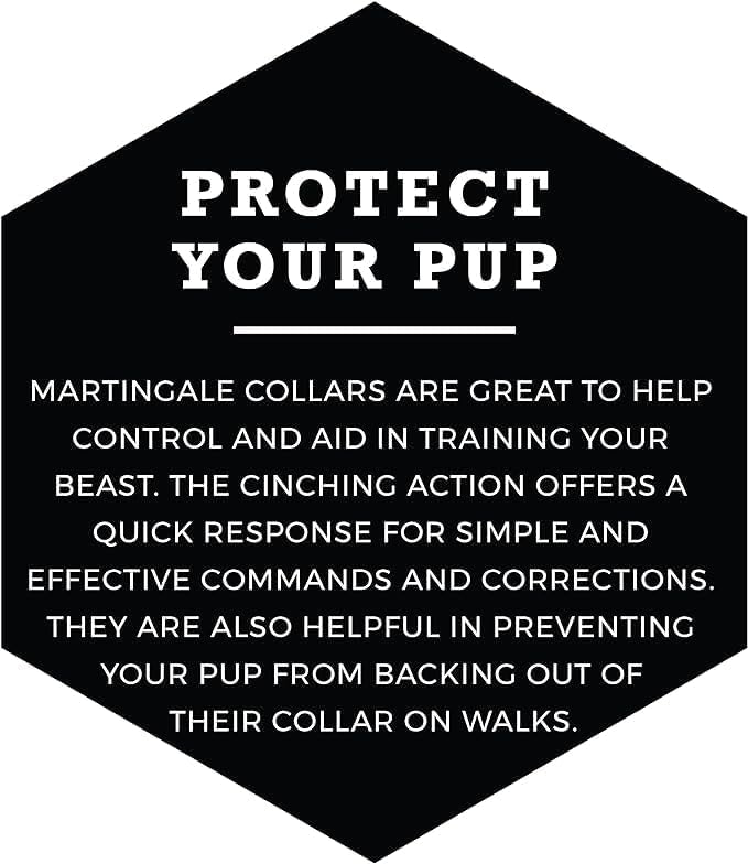 Wolfgang Heavy Duty Martingale Dog Collar with Quick Release Nylon Buckle for Walking & Training, BuenaOnda Print, X-Large