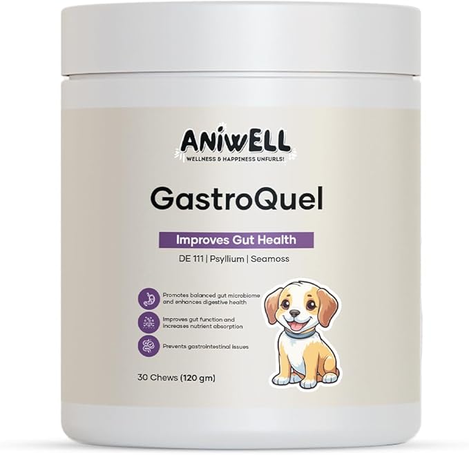 GastroQuel: A New Age Natural Solution for Gut Health, Diaerhea & Bowel Support for Dogs (1)