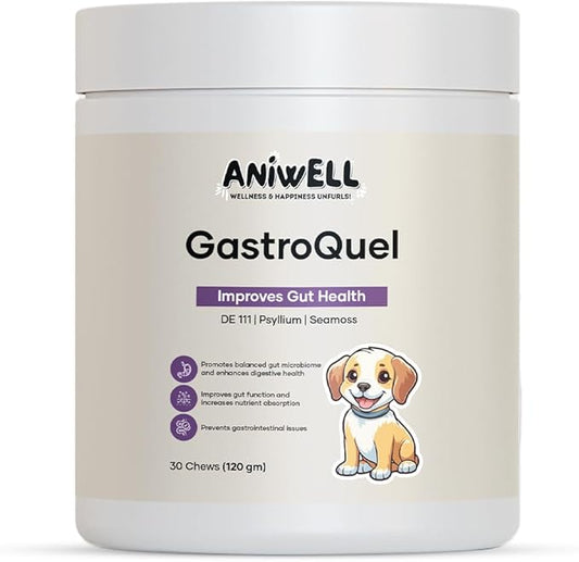 GastroQuel: A New Age Natural Solution for Gut Health, Diaerhea & Bowel Support for Dogs (3)