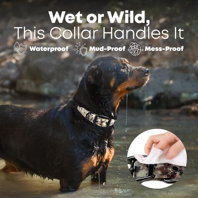 Regal Dog Products Small Camo Hunting Dog Collar with Custom Engraved Name Plate and Heavy Duty Black Hardware Center Ring| Waterproof Personalized Puppy Collars | Other Sizes for Medium & Large Dogs