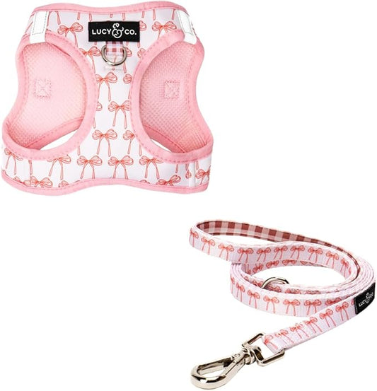 Lucy & Co. Take a Bow Step-in Cat Harness & Leash Bundle – Reflective, Breathable & Adjustable Harness for Cats, Kittens & Small Dogs, Lightweight & Secure and Dual Leash Clips – X-Small
