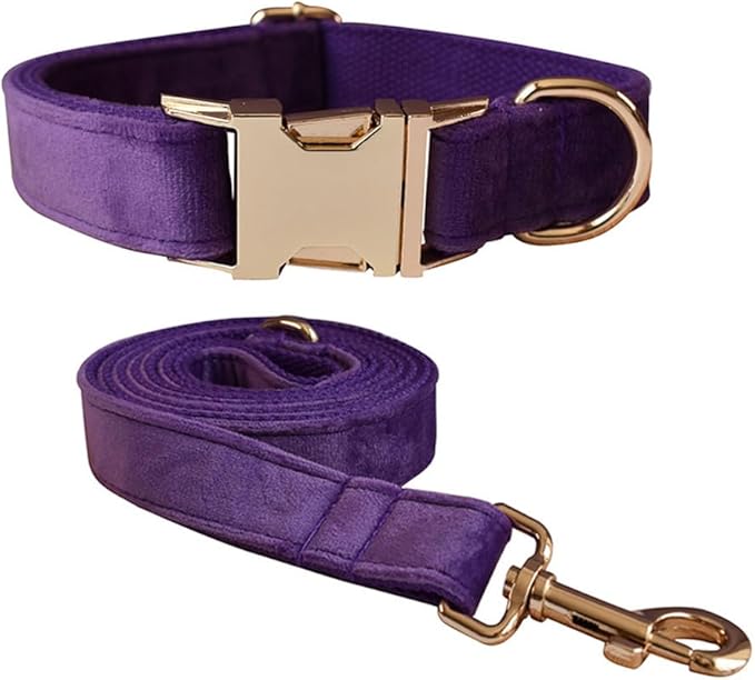 Velvet Dog Collar and Leash Set, Bright & Stylish Leash and Collar Set, Durable Pet Collars with Heavy Duty Quick Release Metal Buckle Adjustable for Samll Medium Large Dogs or Cats