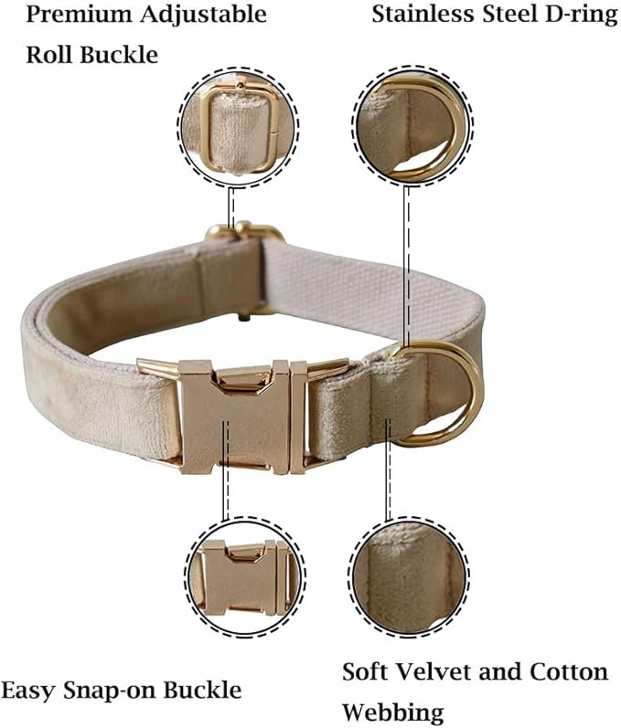 Velvet Dog Collar and Leash Set, Bright & Stylish Leash and Collar Set, Durable Pet Collars with Heavy Duty Quick Release Metal Buckle Adjustable for Samll Medium Large Dogs or Cats
