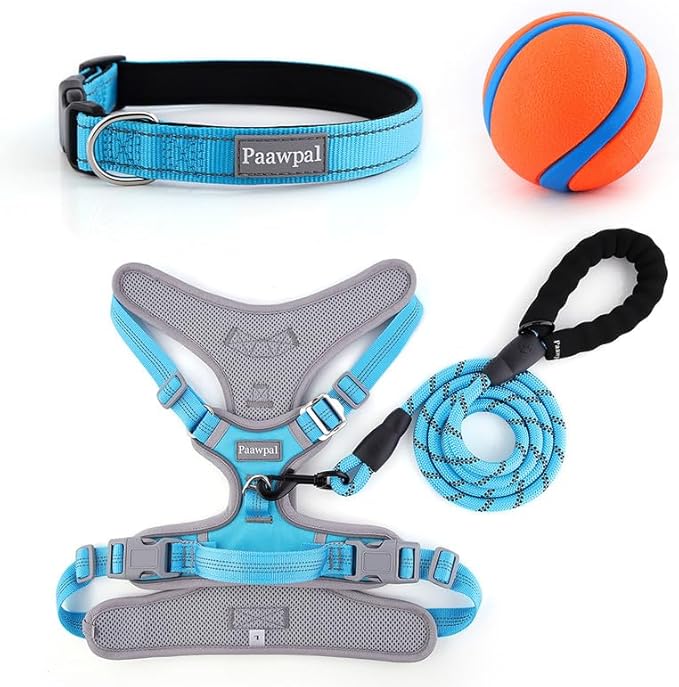 Adjustable Dog Harness - No Pull, Reflective, Soft Padded for Small, Medium, Large Dogs - Includes Leash and Collar Turquoise L