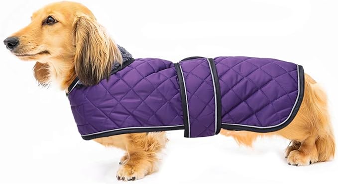 Warm Thermal Quilted Dachshund Coat,Dog Winter Coat with Warm Fleece Lining,Outdoor Dog Apparel with Adjustable Bands for Medium,Large Dog-Purple-XS