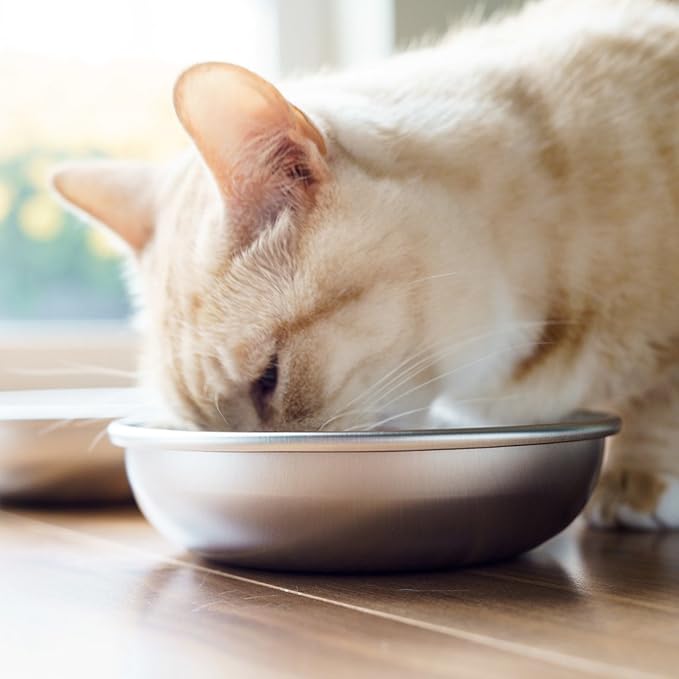 Stainless Steel Cat Bowls for Food & Water by Americat – Made in USA – Dishwasher Safe, Human Grade, Whisker Friendly Dishes (2 Bowls)