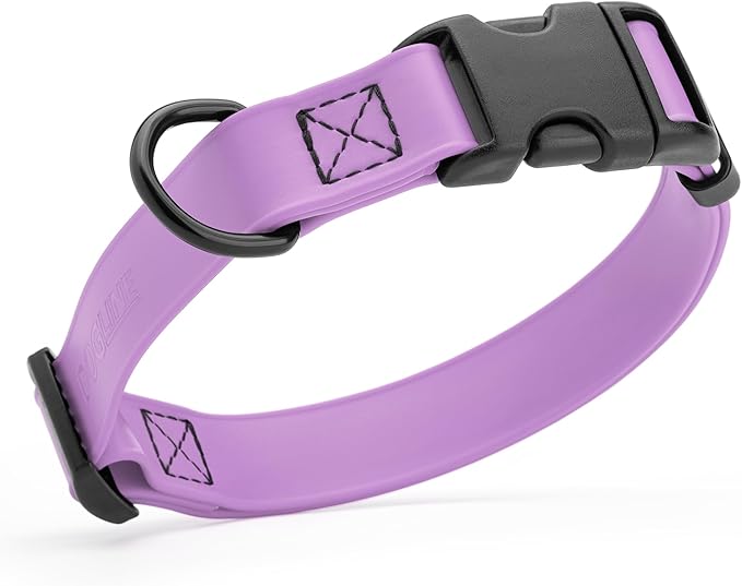 Dogline Durable Biothane Waterproof Collar for Dogs - Odor-Resistant Coated Webbing, Quick-Release Design, Comfortable Adjustable Fit, 5/8" W by 10-14" L,Amethyst Purple