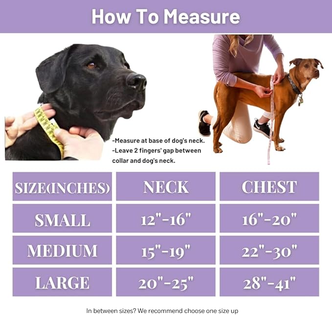 Dog Harness, No-Pull Pet Harness with 3 Leash Clips, Adjustable Soft Padded Dog Vest, Breathable Mesh Cushion for Small Medium Large Dogs (Purple, Large (Neck:20"-25" Chest 28"-41"))