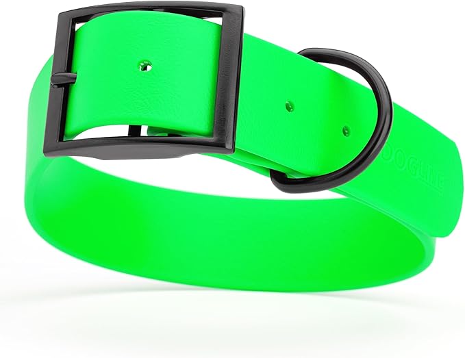 Dogline Biothane Coated Webbing Dog Collar with Black Metal Hardware: Durable Easy-Clean Everyday Collar for Dogs - Comfortable Adjustable Odor-Resistant Pet Collar, W1.5 x L16-20", Tropical Green