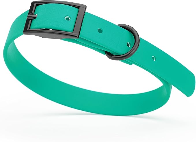 Dogline Biothane Coated Webbing Dog Collar with Black Metal Hardware: Durable Easy-Clean Everyday Collar for Dogs - Comfortable Adjustable Odor-Resistant Pet Collar, W5/8" x L12-15, Teal