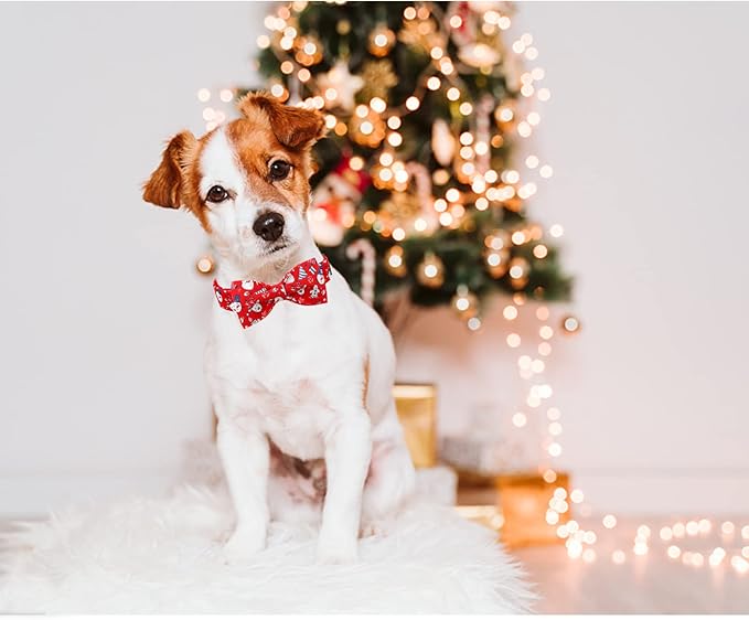 Lionheart Glory Christmas Dog Collar - Santa Print Bow Tie Collar for Small Dogs