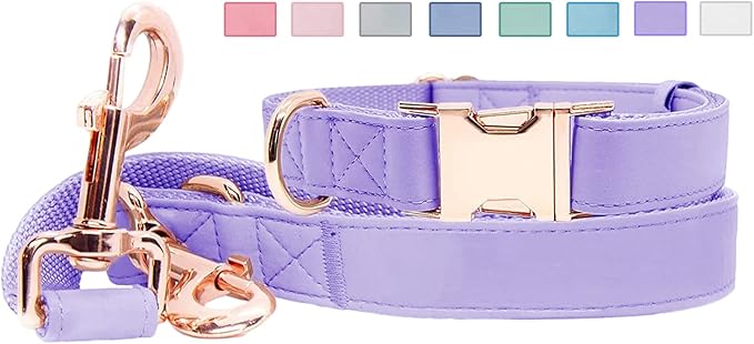 Soft Leather Dog Collar and Leash (6.6') Set - Stylish Rose Gold Heavy Duty Metal Buckle, 4 Adjustable Lengths Leash for Small Medium Large Dogs - Comfortable & Easy to Clean (L, Light Purple)