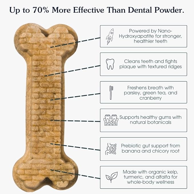Arterra Pet Science Dog Dental Chews with Nano-Hydroxyapatite Next-Generation Daily Chews for Stronger Teeth, Fresh Breath, and Healthy Gut, 30 Count, Pack of 1