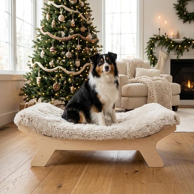 Medium Size Elevated Dog Bed with Washable Cover, Natural M Up to 50lbs