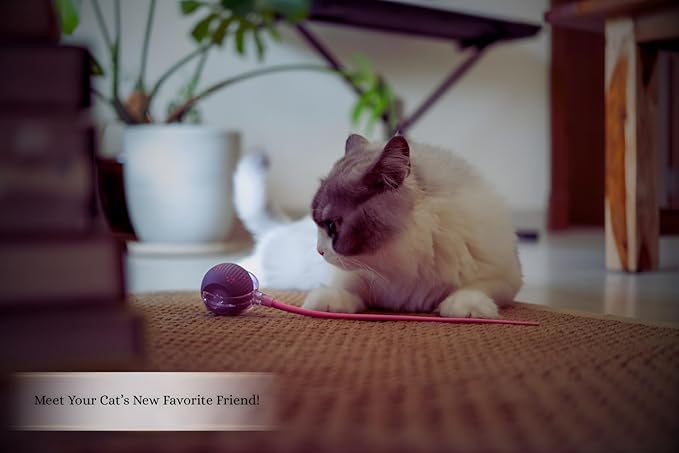PAWQUÉR Interactive Cat Toys for Indoor Cats | Premium Quality with 3 Detachable Tails | Automatic Speed Modes with Real-Motion Movement | Rechargeable | Fun for Bored Adult Cats and Kittens